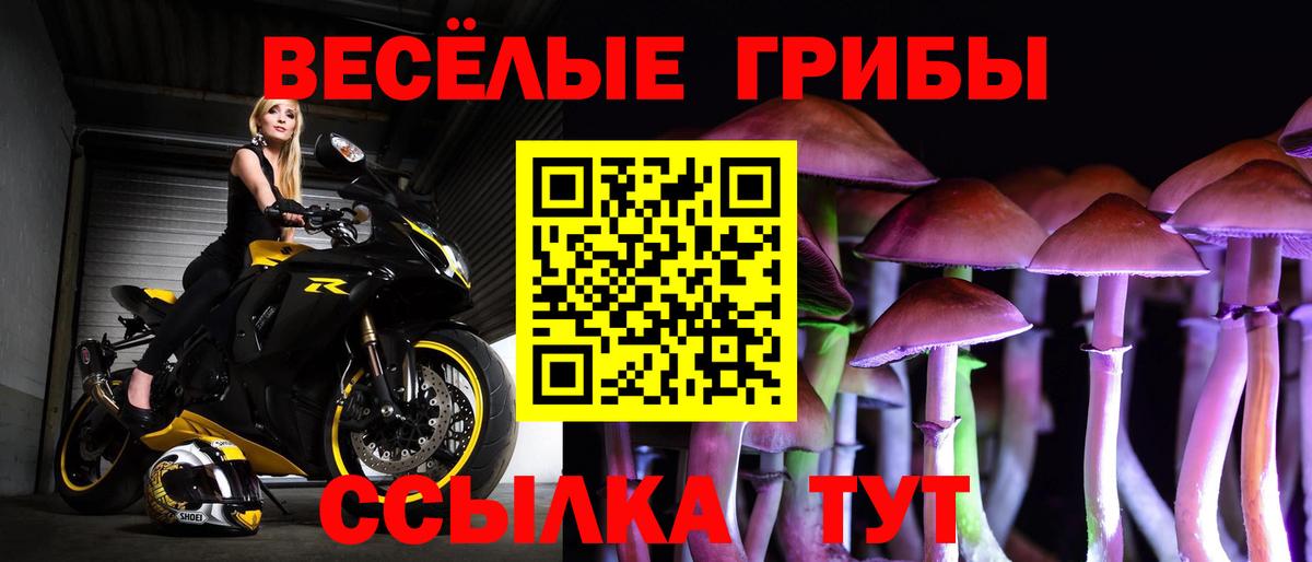 Псилоцибиновые грибы GOLDEN TEACHER Острогожск